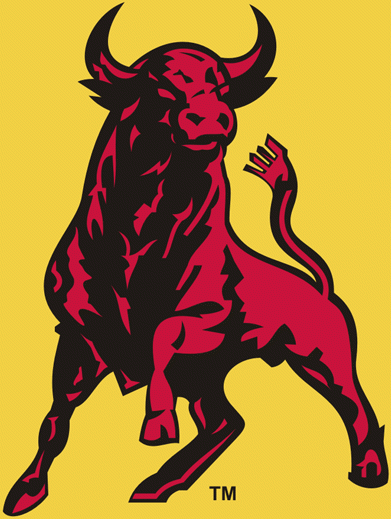 Belleville Bulls 1981-2008 alternate logo iron on transfers for clothing